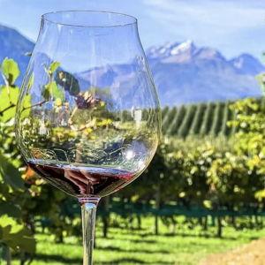 Dolomites wine tasting