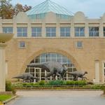 Fernbank Museum | 3D Theater | Forest