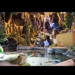 Catawba Science Center (Kid friendly!)