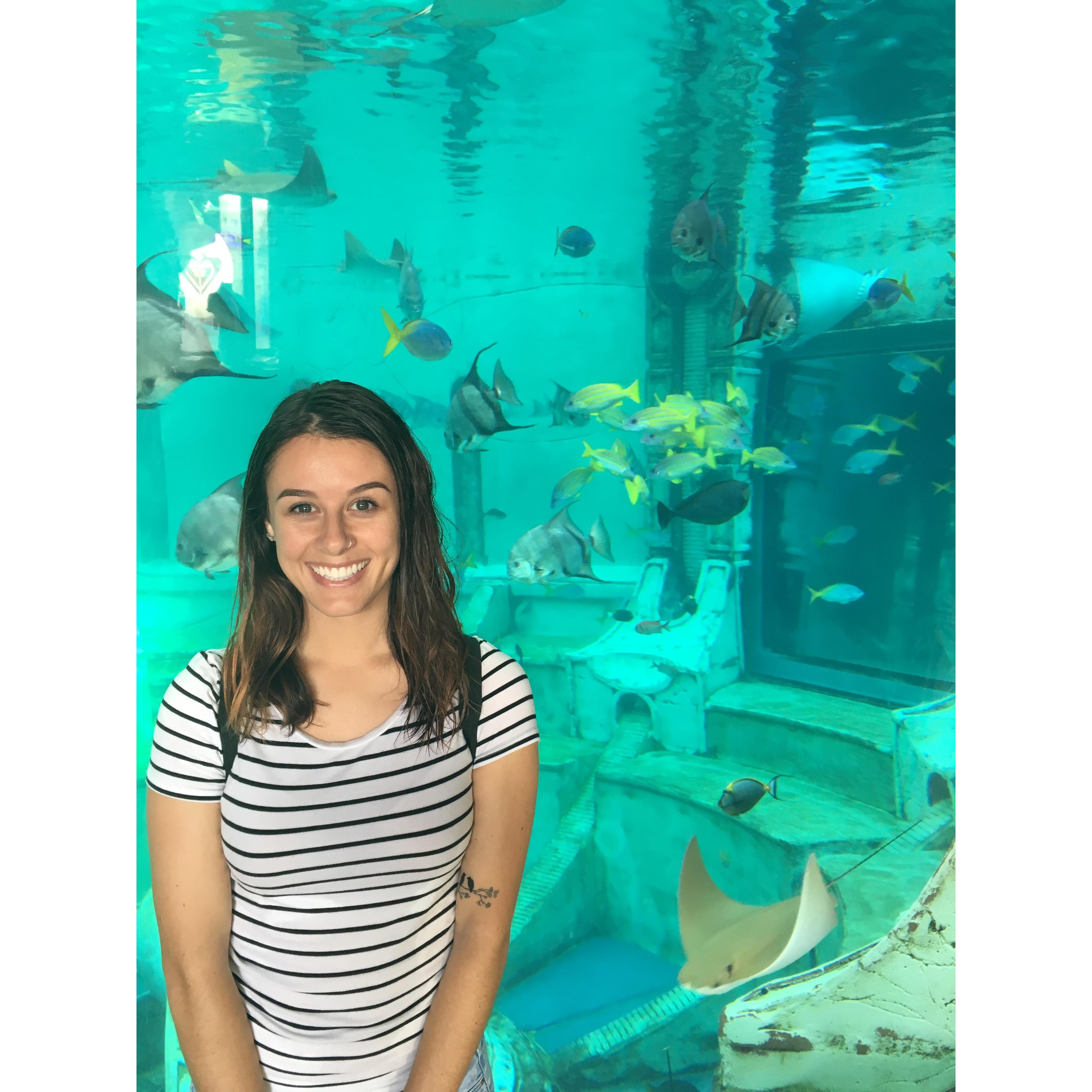 Nov. 6th, 2016: First date to Sea World! Not sure if this was before or after Jordan spilled the $14 beer Josh had just bought her....