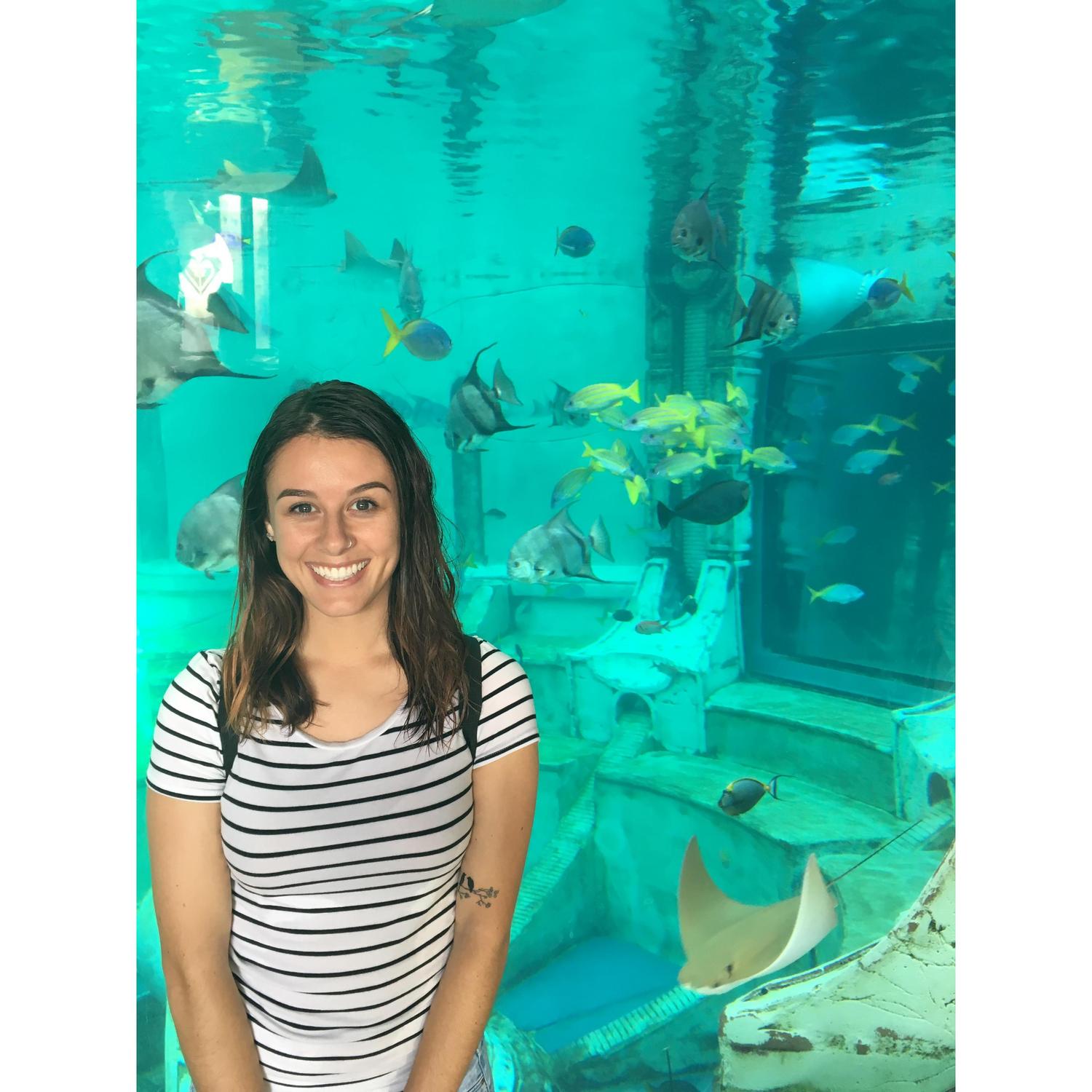 Nov. 6th, 2016: First date to Sea World! Not sure if this was before or after Jordan spilled the $14 beer Josh had just bought her....