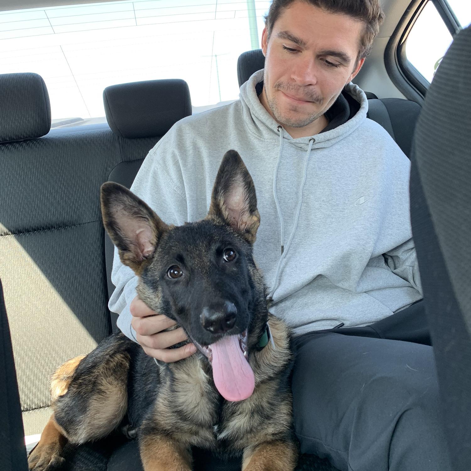 The day we rescued our best friend