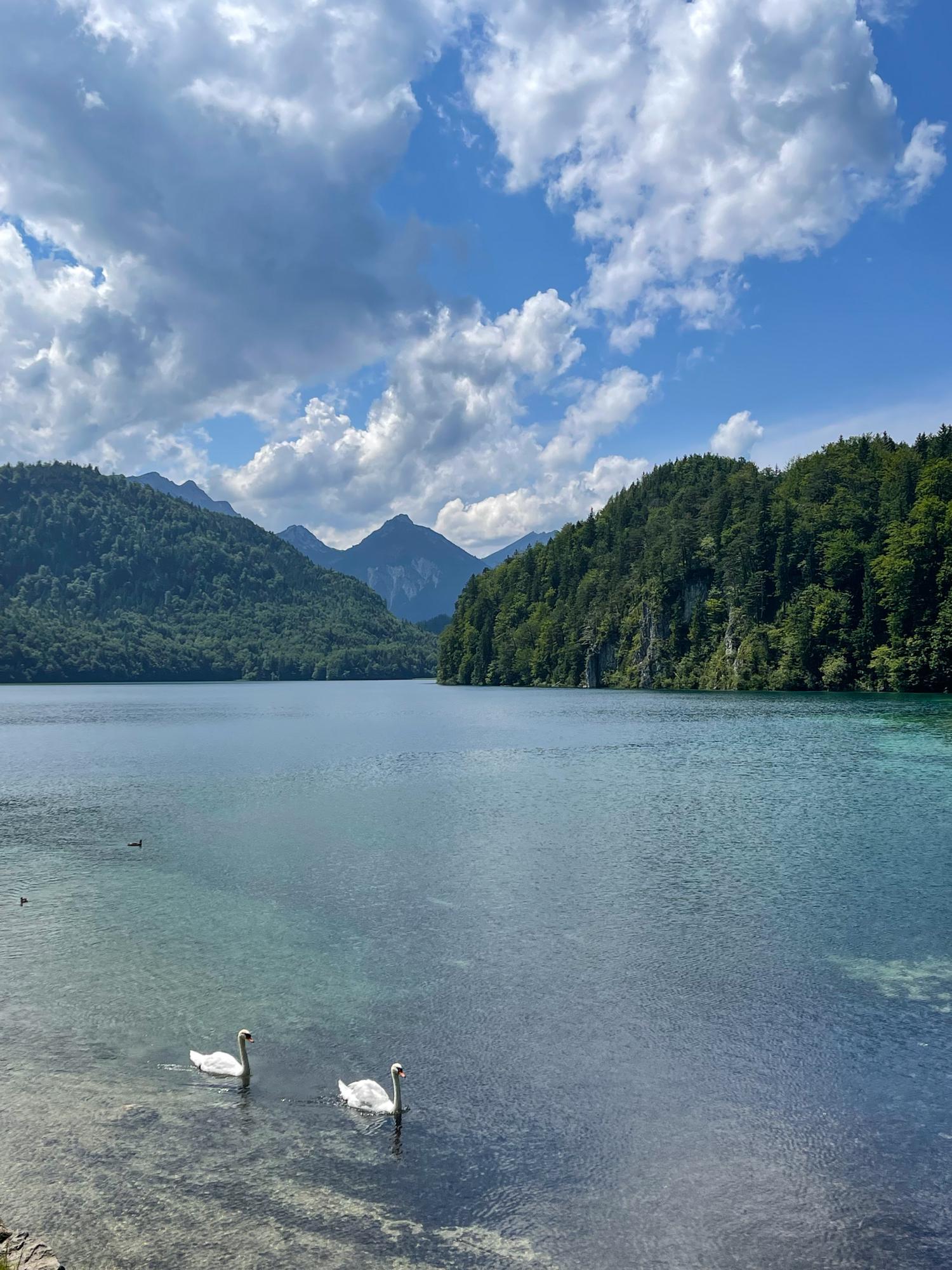 Near the Neuschwanstein Castle