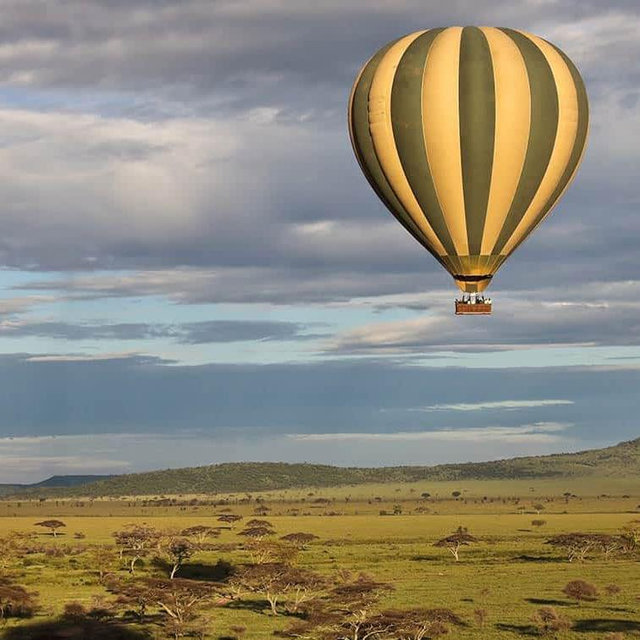 Serengeti Hot Air Balloon for 1
