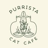 Purrista Cat Cafe