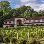 Running Hare Vineyard