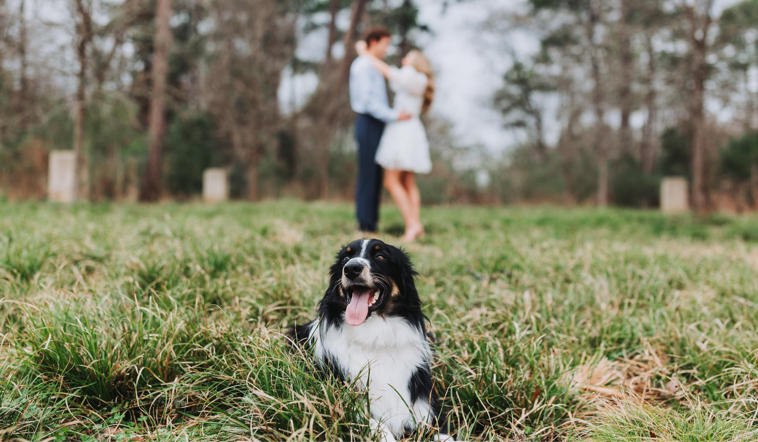 The Wedding Website of Allison Sorrells and Jason Springborn