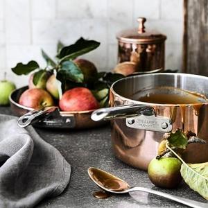 Williams Sonoma Professional Copper Saucepan