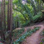 Joaquin Miller Park (& other hiking spots)