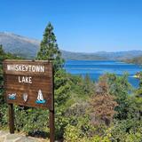 Shasta Bally