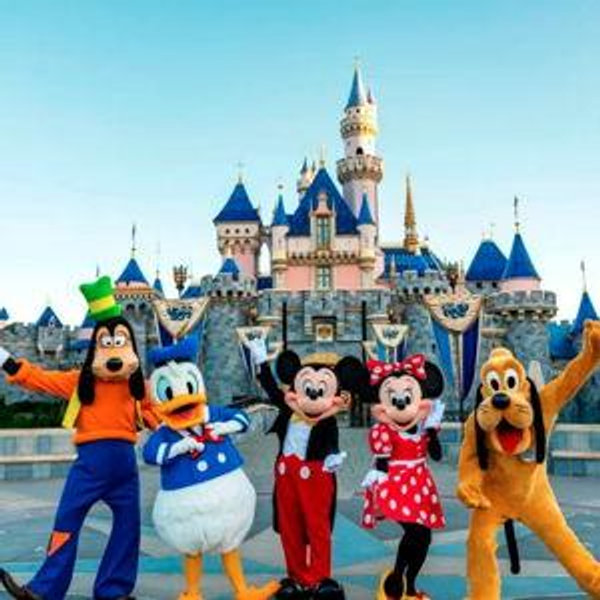 Disneyland Fund
