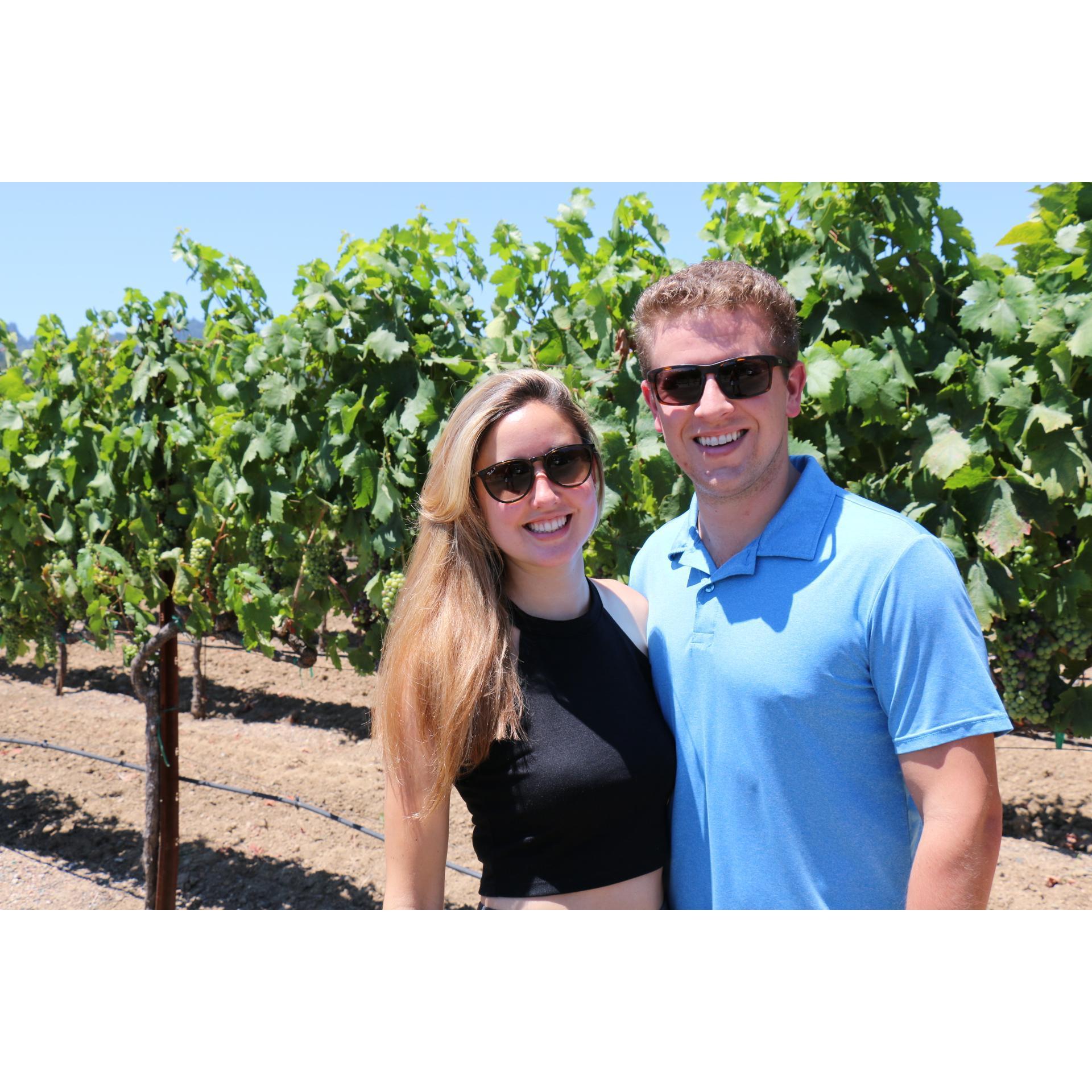 Sonoma
July, 2016