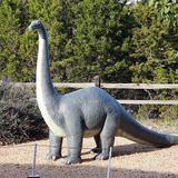 The Heritage Museum of the Texas Hill Country
