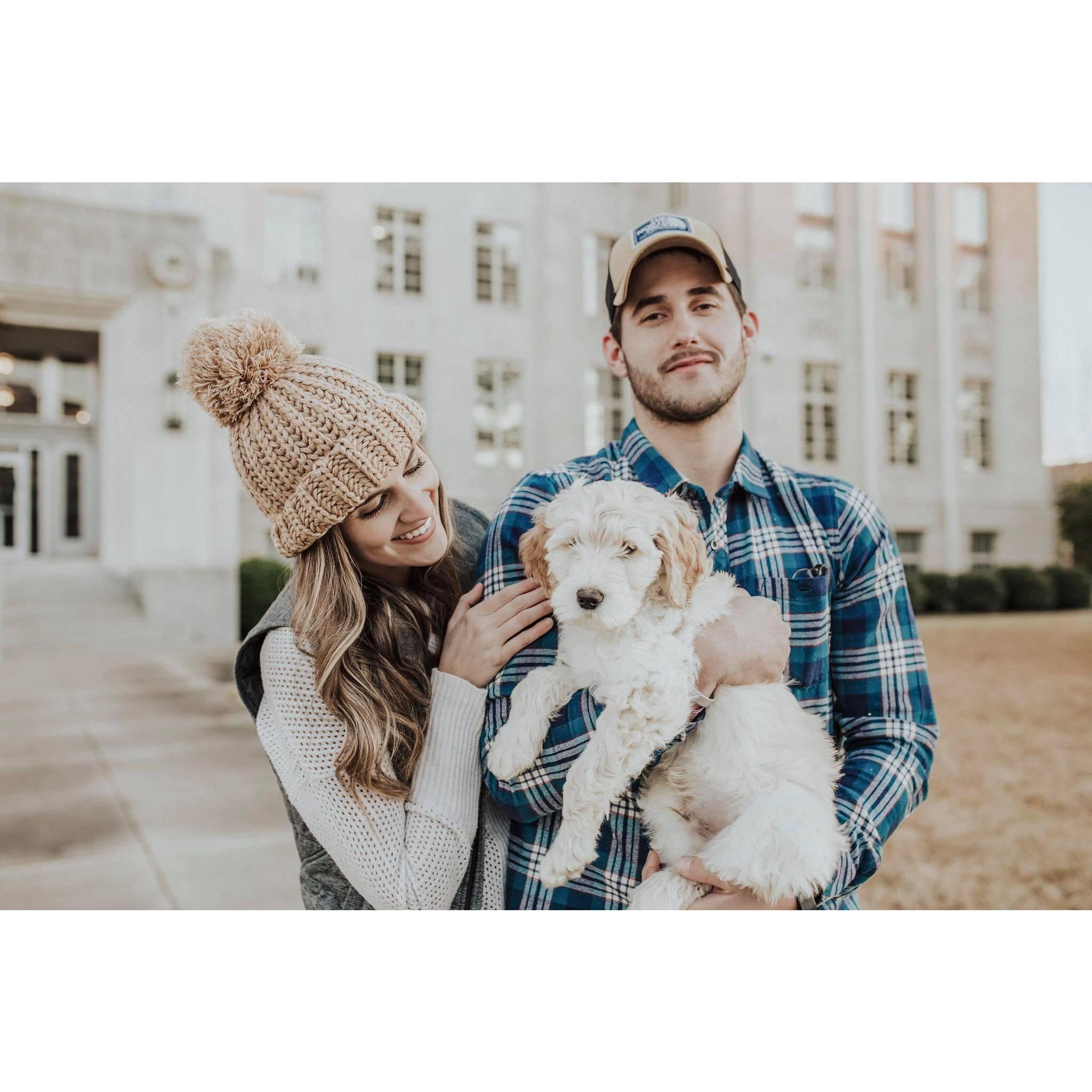 We got a pup in 2018!