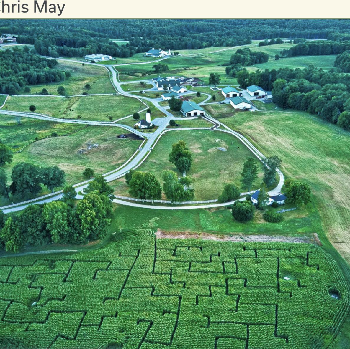 The corn maze and pumpkin patch