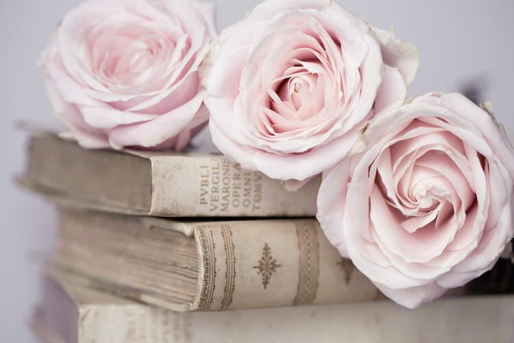 The Wedding Website of Deanna Cervantes and Hernan Yanez