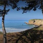 Año Nuevo State Park