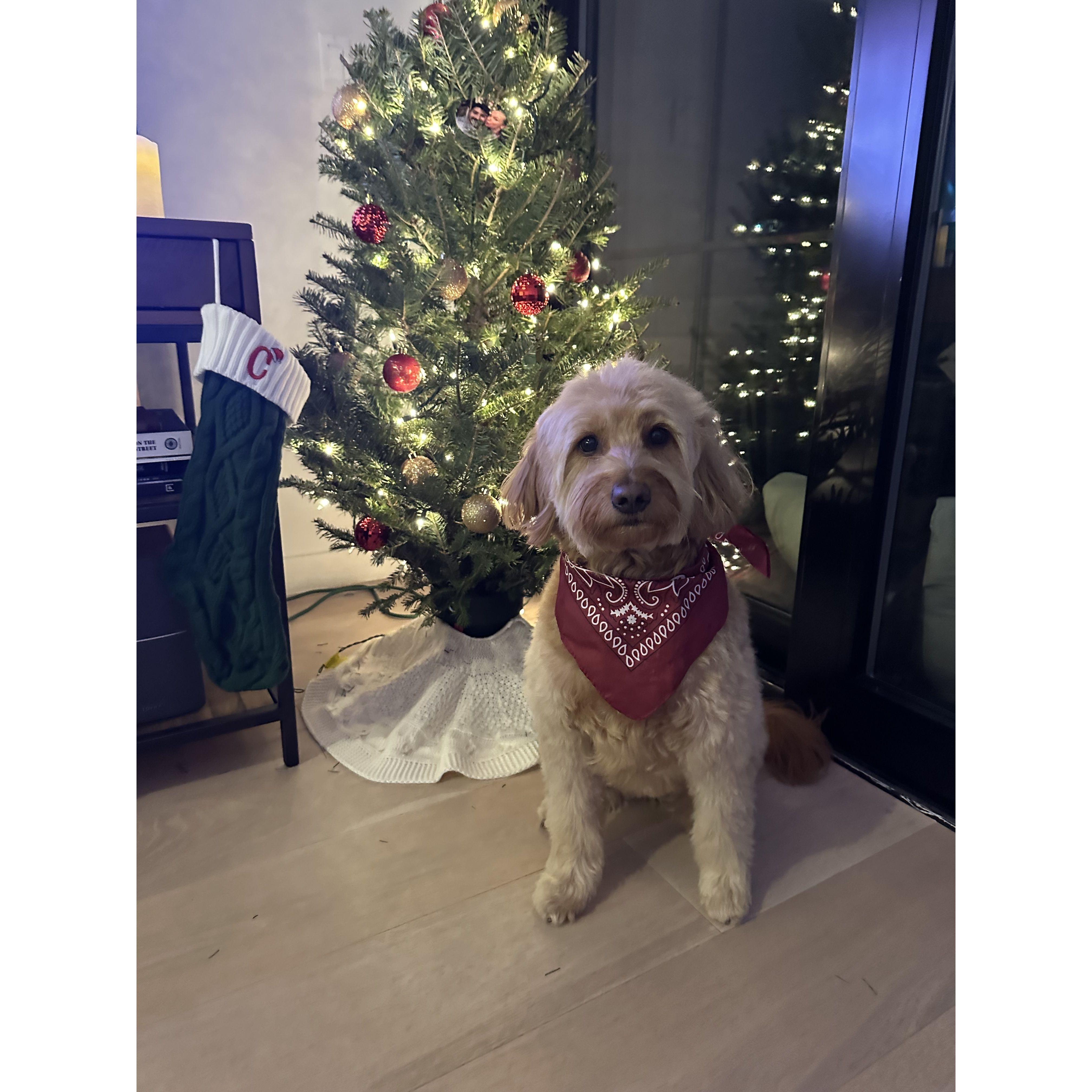 Our first Christmas in our new condo as a family of 3!