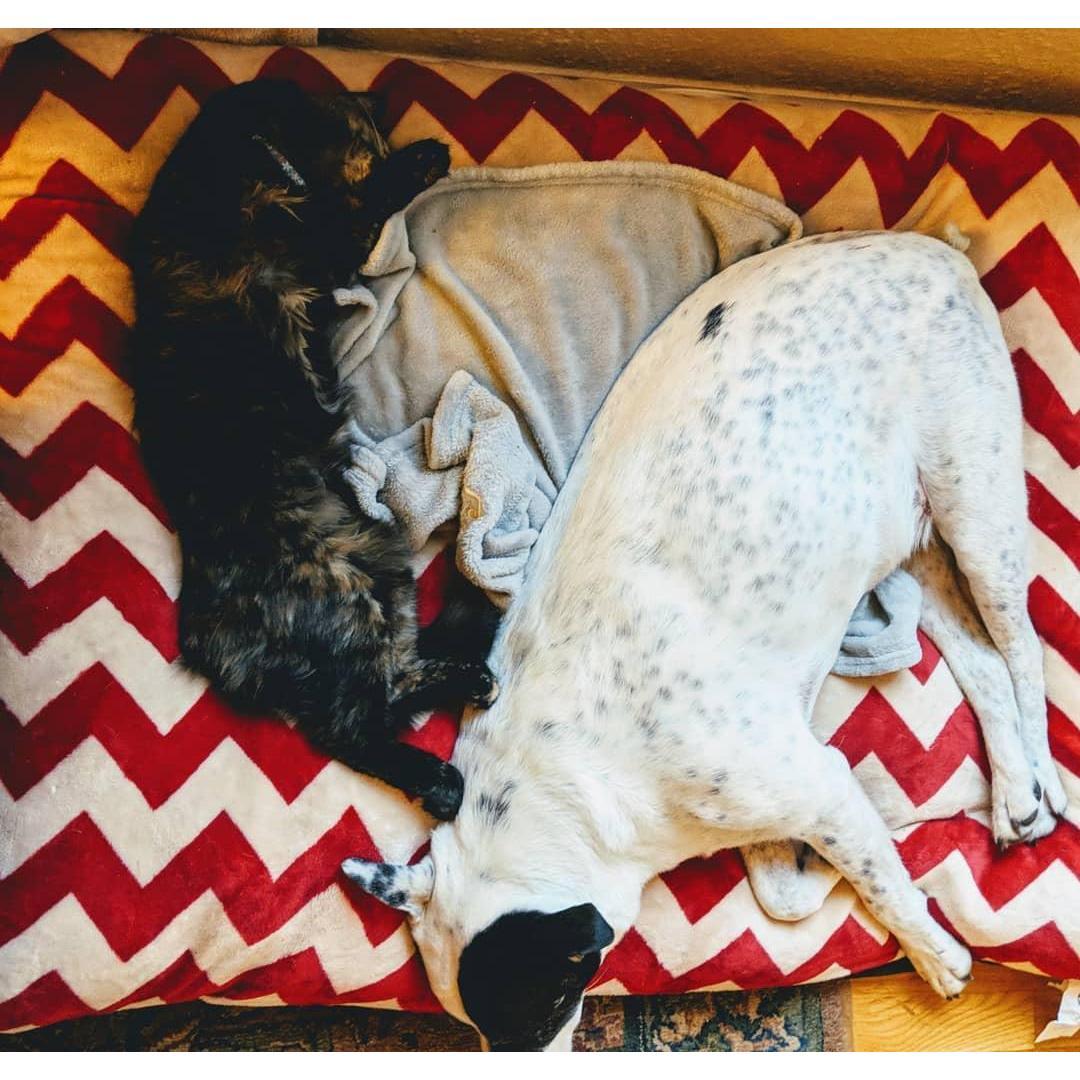 BFFs