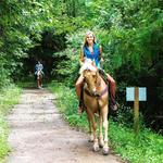 Cable's Riding Stables