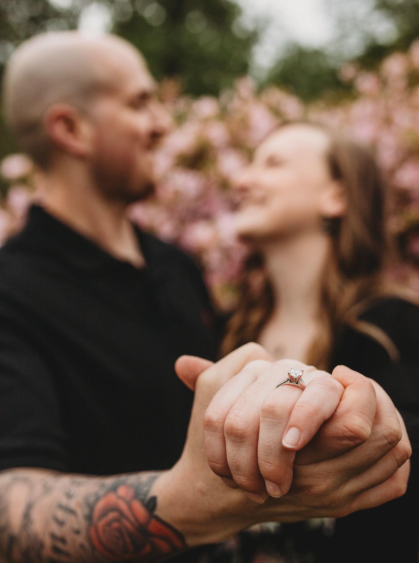 The Wedding Website of Abigail Bowman and William Dupont