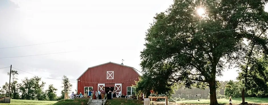 The Wedding Website of Holly Donahue and Justin Whetstone