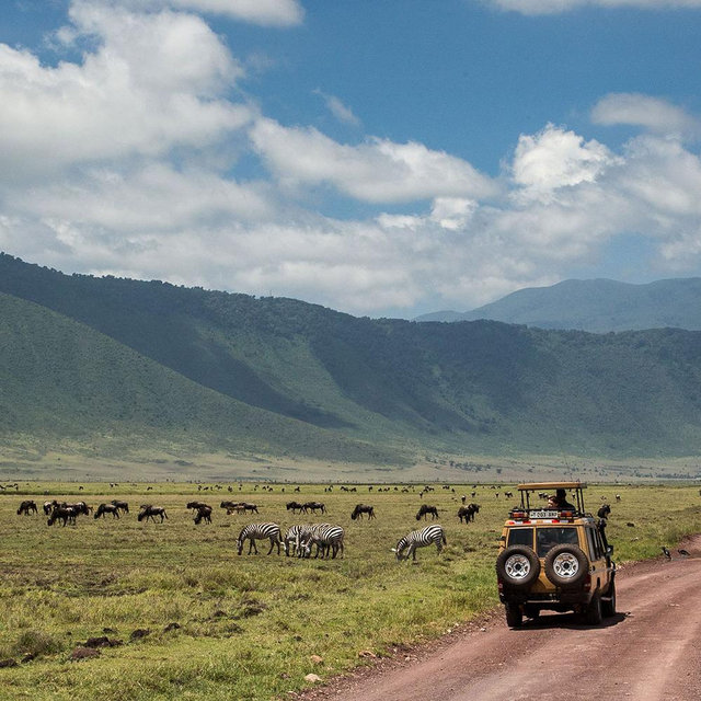 Ngorongoro Crater Safari Day