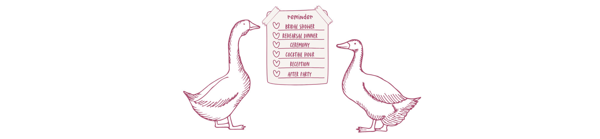 The Wedding Website of Zoe Webster and Matthew Webb