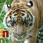 Akron Zoo