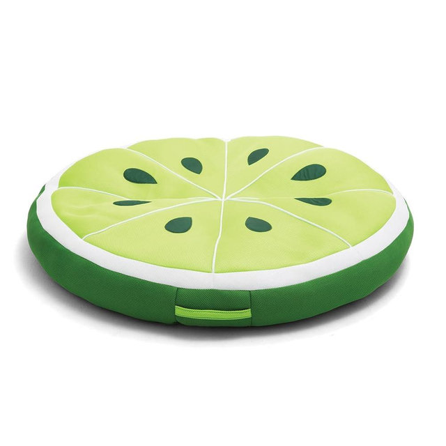 Big Joe Fruit Pool Floats, No Inflation Needed, Quick Draining Fabric, Round Loungers and Pool Noodles