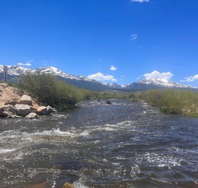 The Wedding Website of Carly Halpin and Travis Sholder