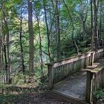 Calli Nature Preserve