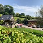 Sugar Loaf Vineyards