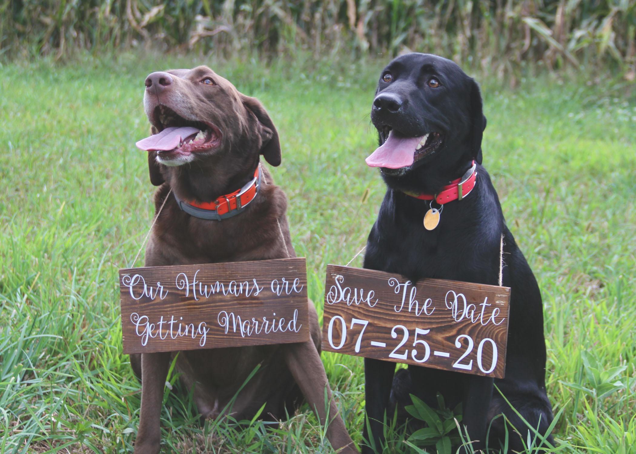 The Wedding Website of Megan Dimmick and Cody Romanoskie