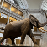 The Smithsonian