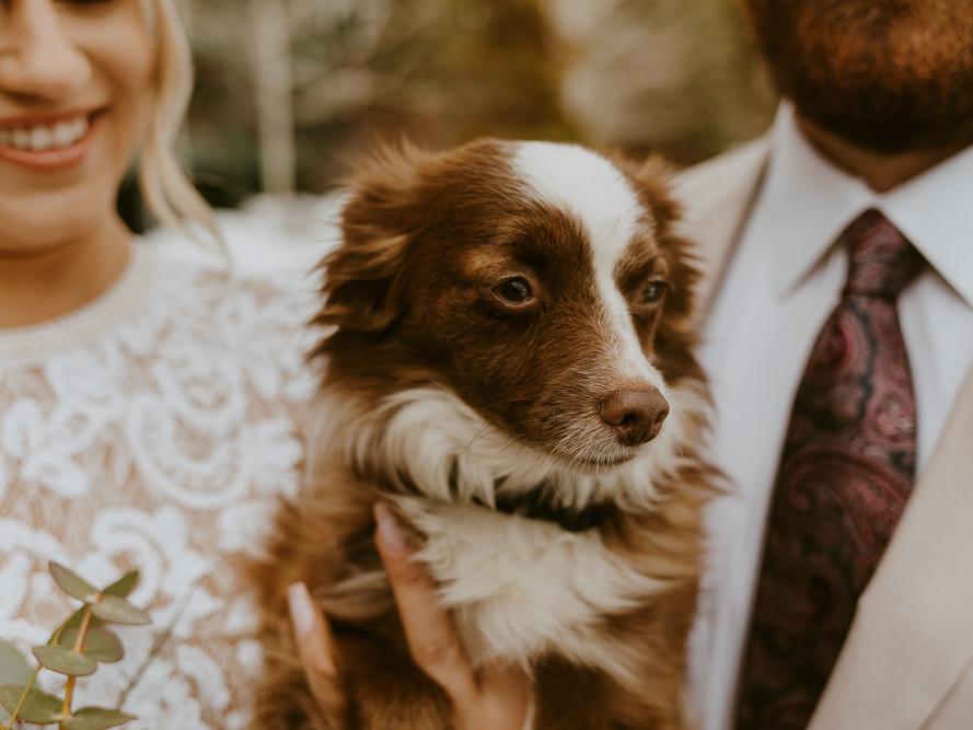 The Wedding Website of Beth Snider and Dustin Bahem