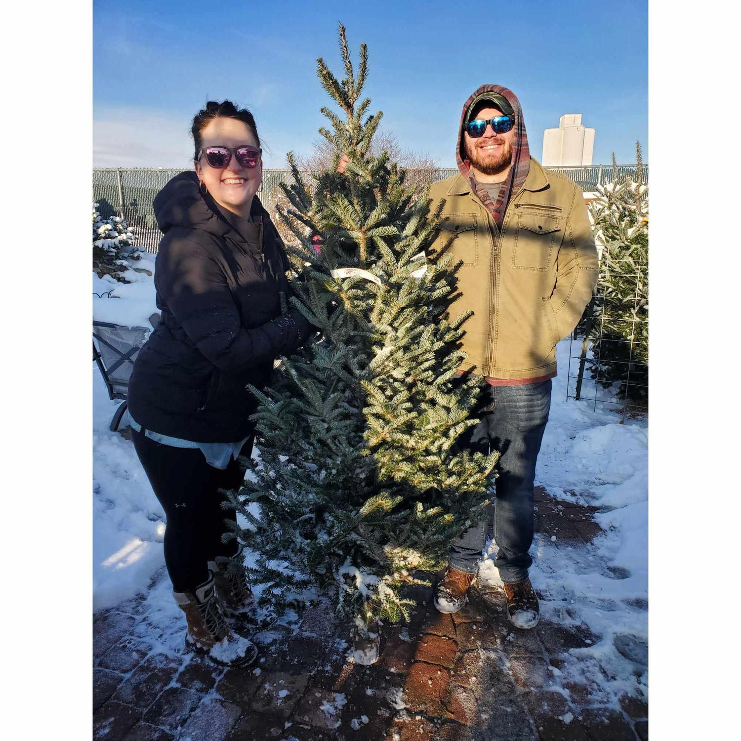 Our first Christmas Tree!