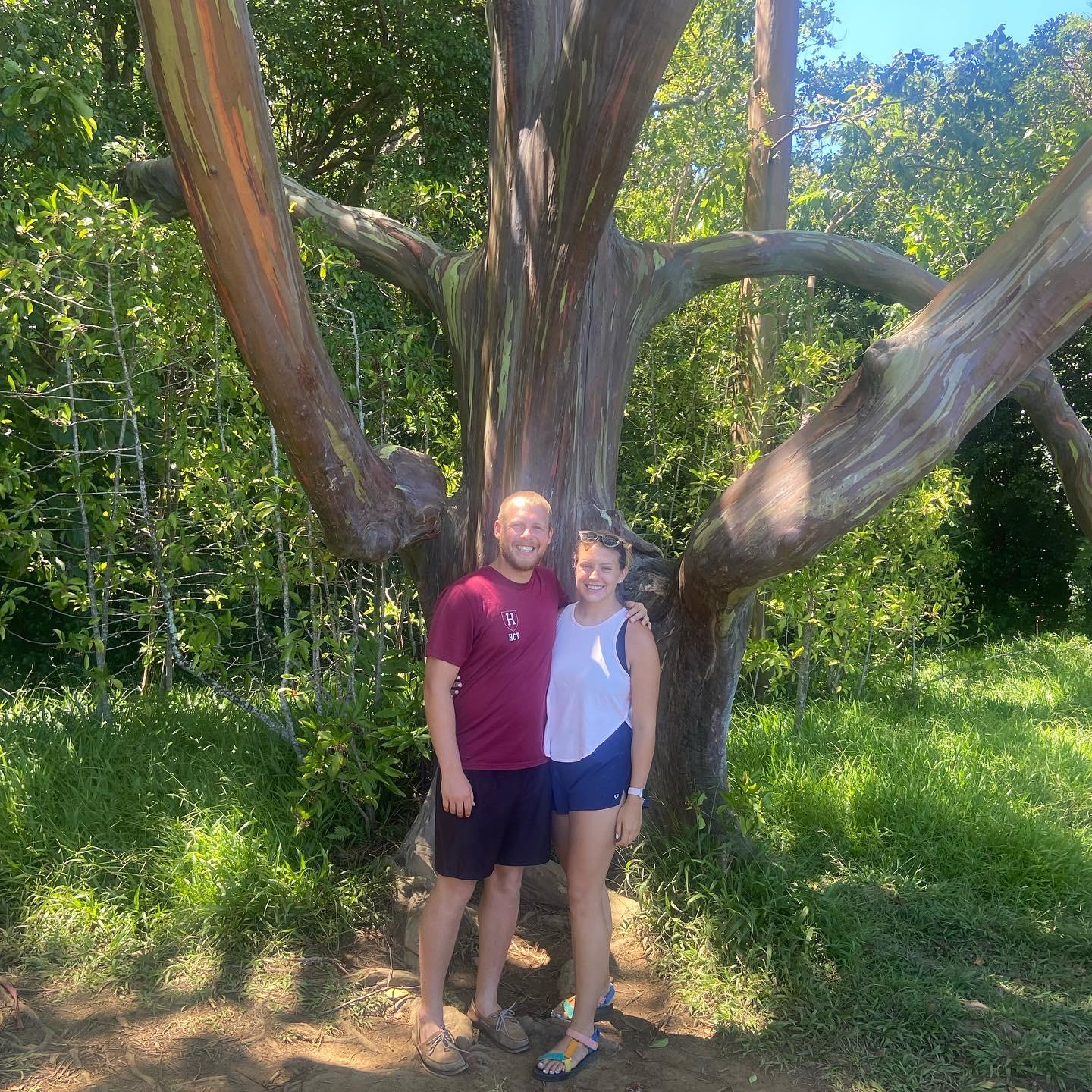 Stopped by the Rainbow Eucalyptus trees on the Road to Hana (September 2022)