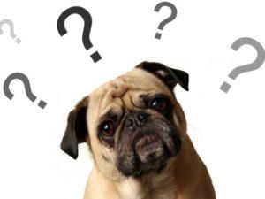 The Wedding Website of Jessica Menig and Justin Jones