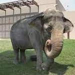 Smithsonian National Zoological Park