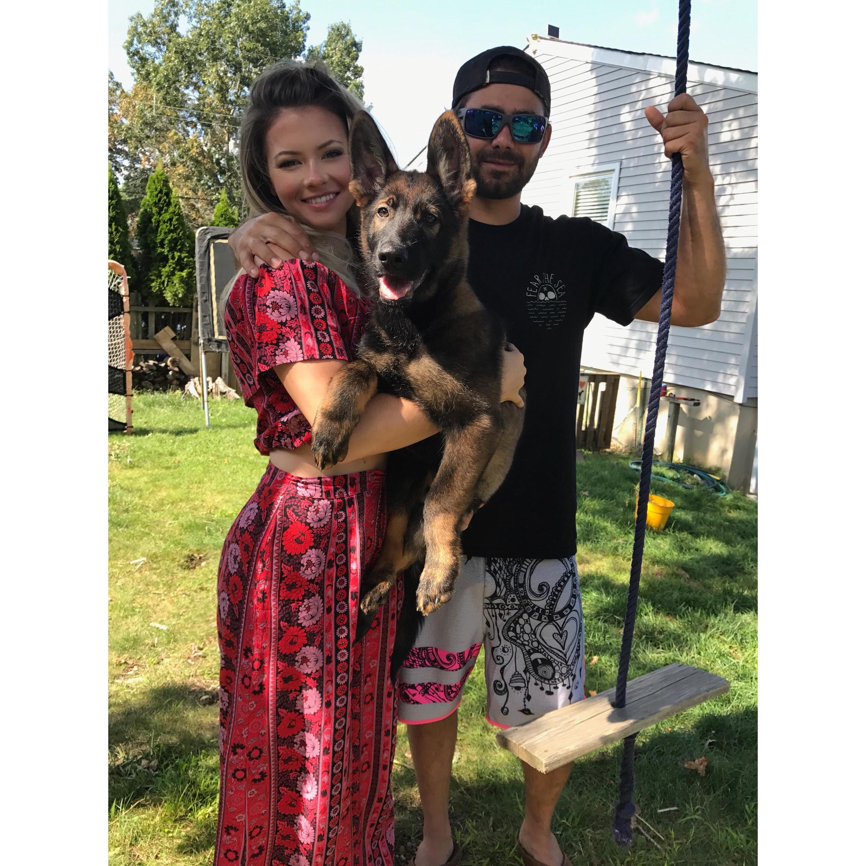 Bringing home our first fur baby - September 3, 2017