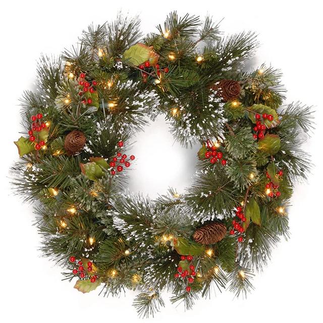 National Tree 24 Inch Wintry Pine Wreath with Cones, Red Berries, Snowflakes and 50 Battery Operated White LED Lights (WP1-300L-24W-B1)