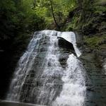 Grimes Glen Park