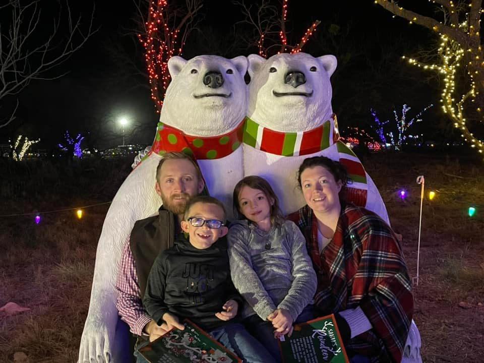 Christmas light show