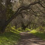 Garland Ranch Regional Park