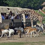 Global Wildlife Center