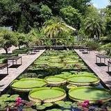 Stellenbosch University Botanical Garden