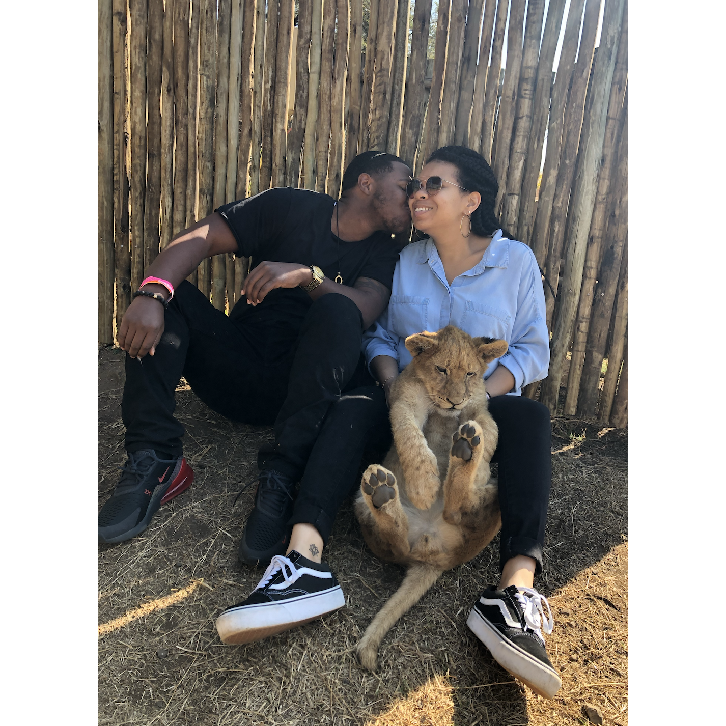 Our little Lion Family- South Africa 2019