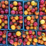 Friday Harbor Farmer's Market