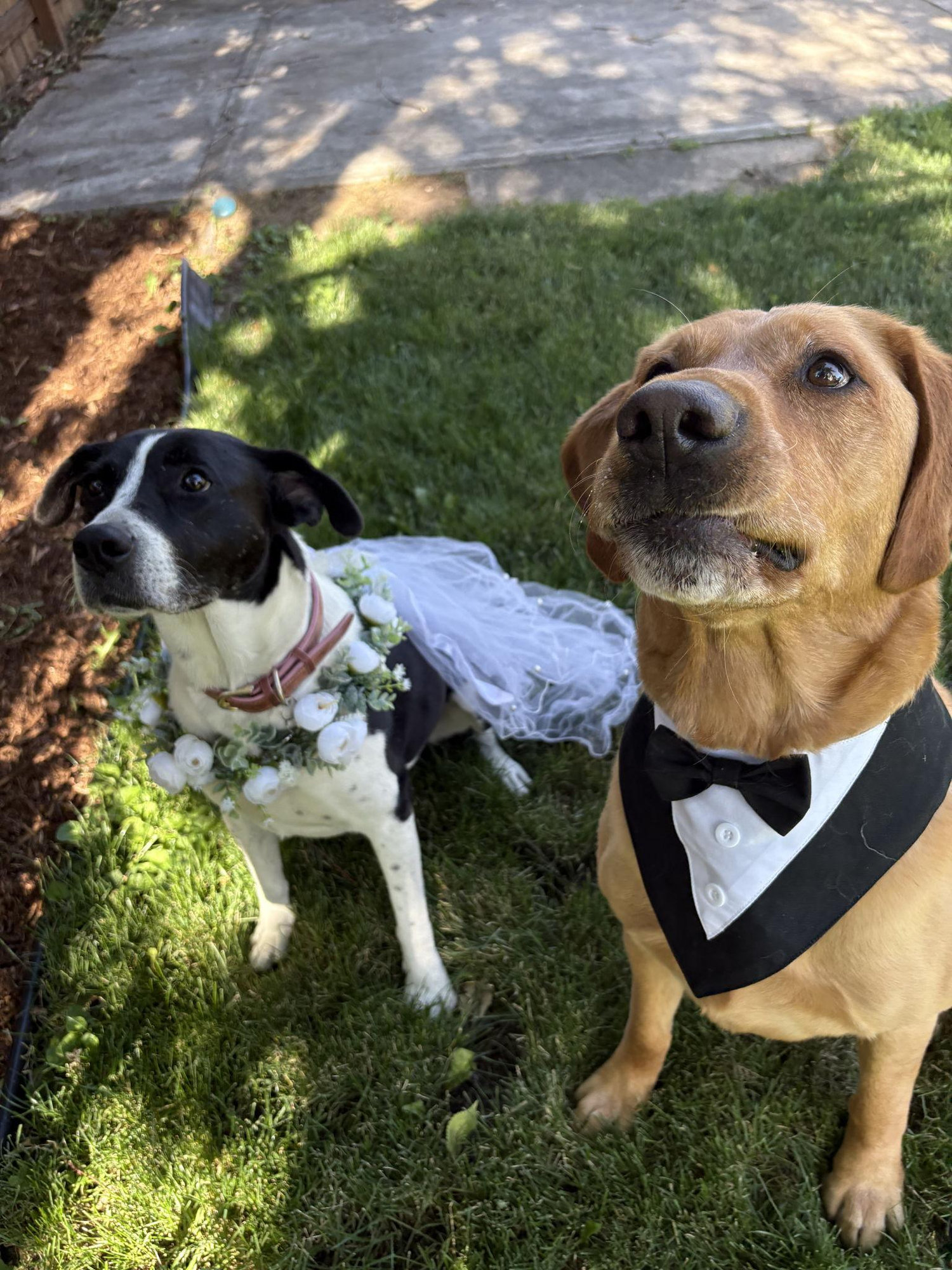 The Wedding Website of Drew Noolas and Melanie Logan